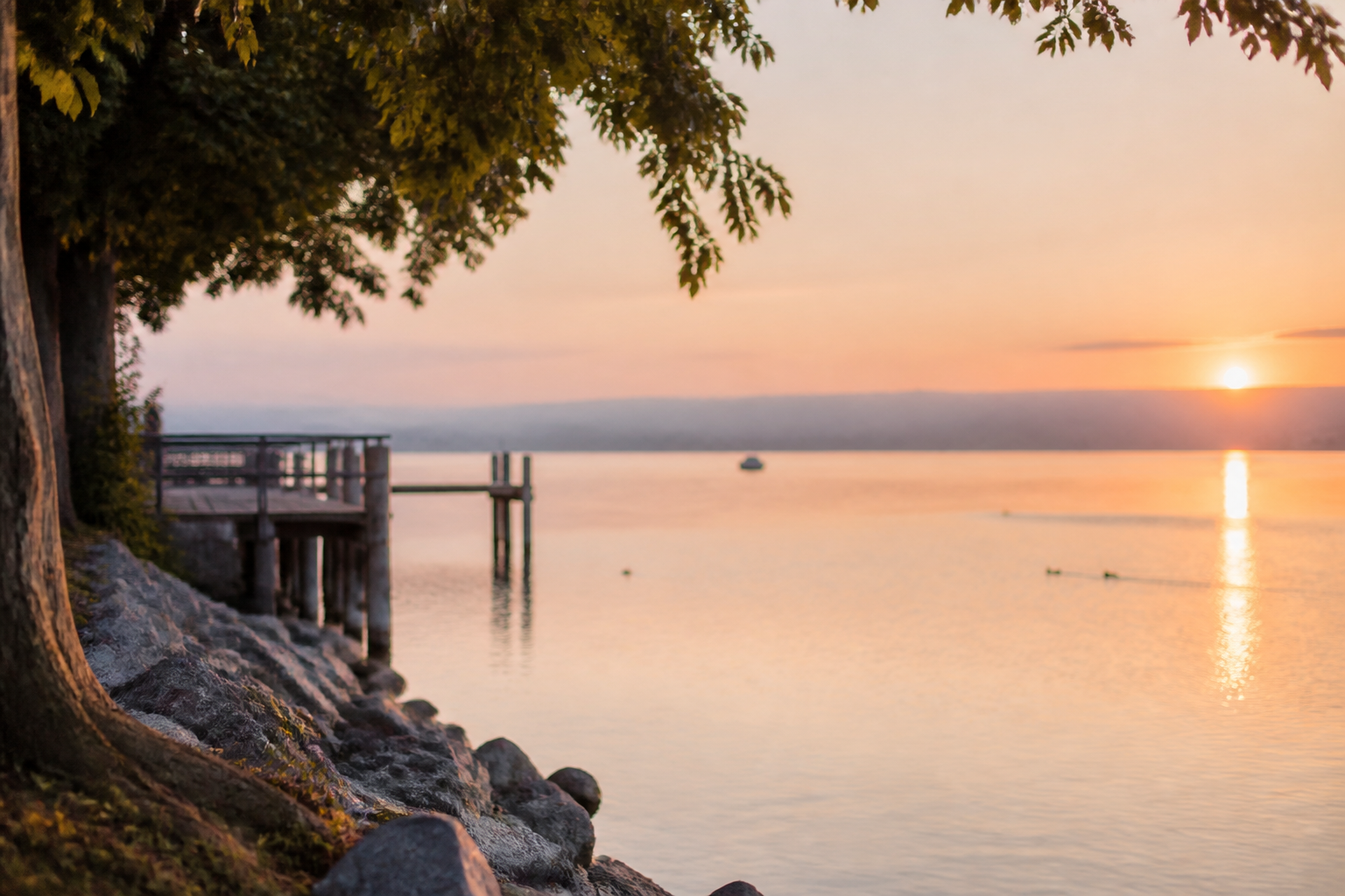 Sanftes Abendlicht über dem Bodensee kurz vor Sonnenuntergang